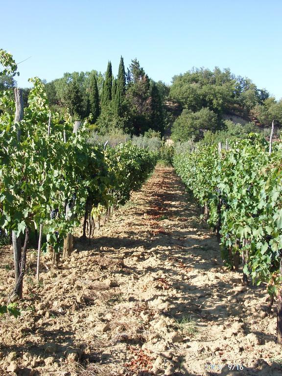 Agriturismo San Giovanni 세토나 외부 사진