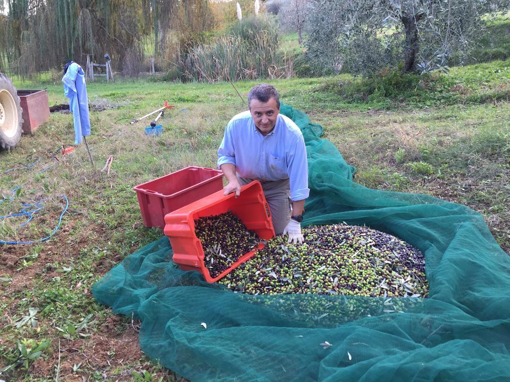 Agriturismo San Giovanni 세토나 외부 사진